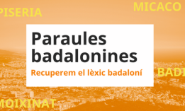Paraules badalonines