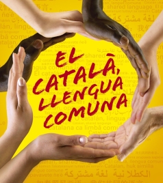 Sant Jordi 2010