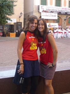 Diada nacional 2010