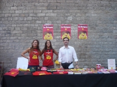 Diada nacional 2010