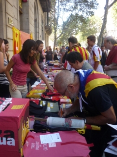 Diada nacional 2010