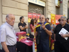 Diada nacional 2010