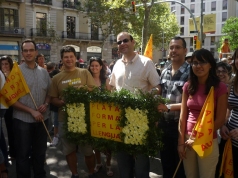 Diada nacional 2010