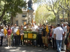 Diada nacional 2010