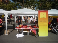 Diada nacional 2010