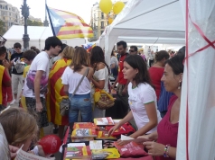 Diada nacional 2010