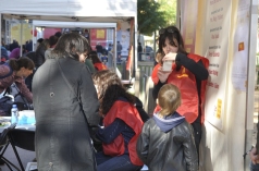 festa joguina 10