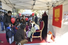 festa joguina 33