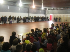 torelló26