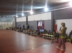 torelló 28