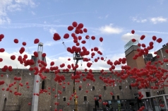 Muralmob per la llengua 2012 56