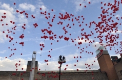 Muralmob per la llengua 2012 57