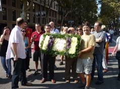 diada 2011