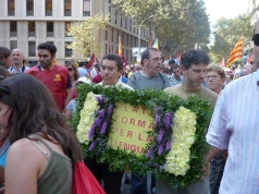 diada 2011