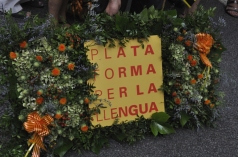 Foto: Martí Gasull23