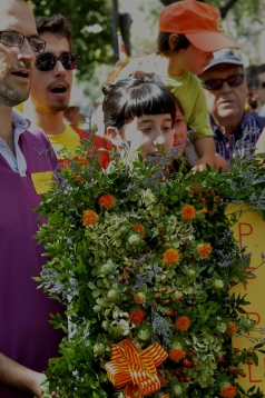 Foto: Martí Gasull46