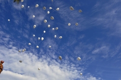 Festa Joguina 15