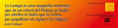 frases1