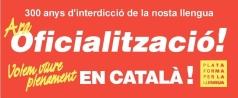 Català llengua oficial