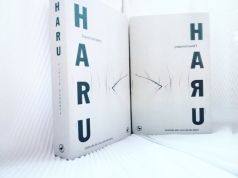 Haru_Flavia Company