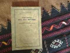 Sabadell del meu record_Marian Burguès